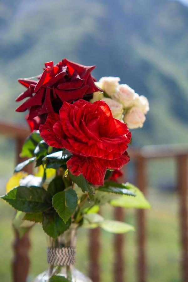 Hotel Diamond Kazbegi Εξωτερικό φωτογραφία